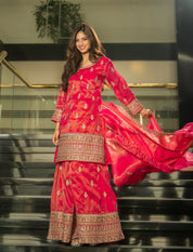 Stunning Embroidered Sharara Set – Designer Festive Wear